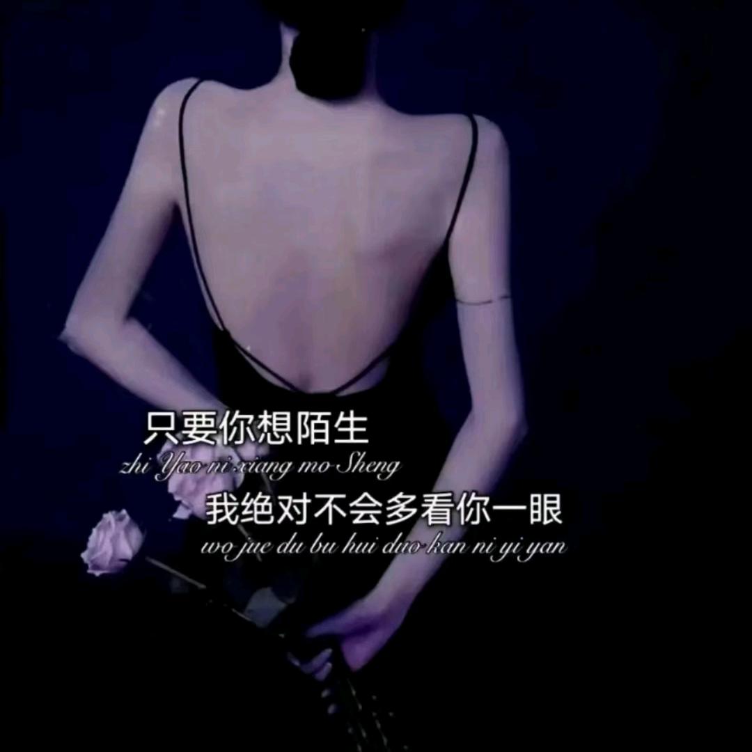 萌兔༗