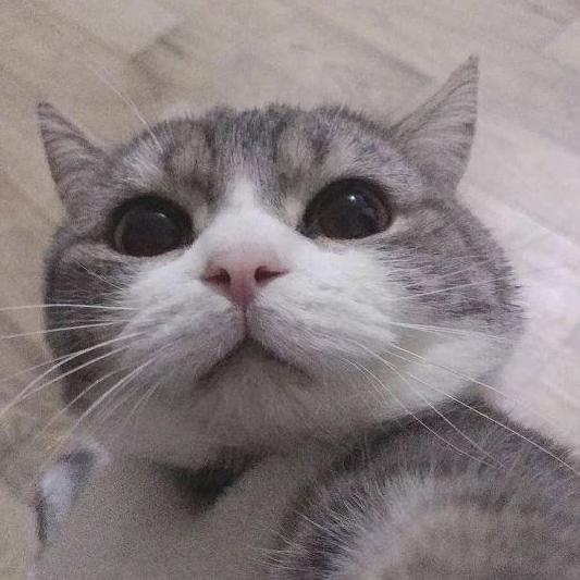 迷糊糊糊糊糊