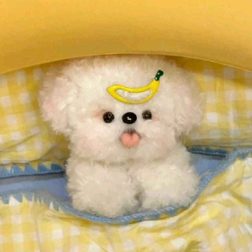 琳.