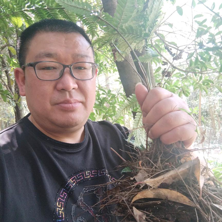 彭记鲜肉