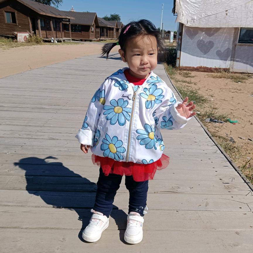 刘麓溪