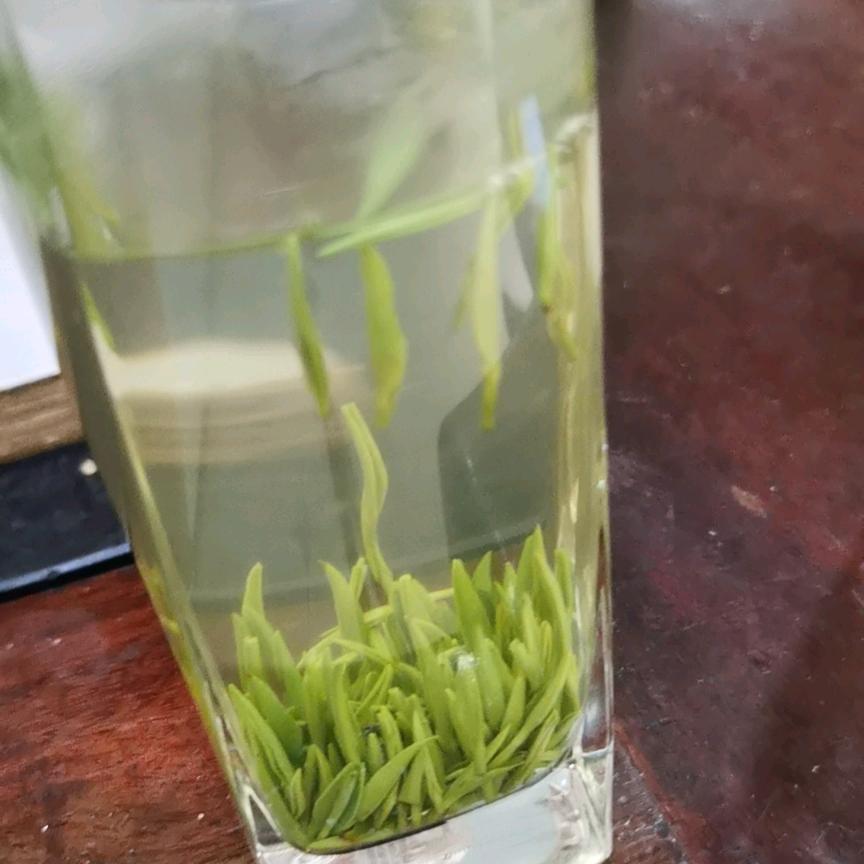 洞洞茶叶