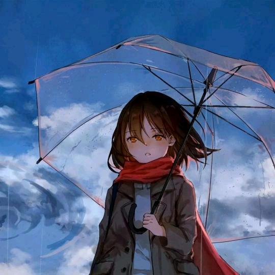 晓晓