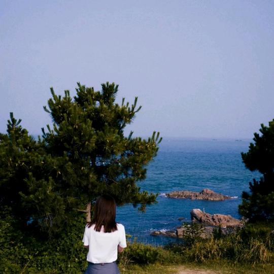 我们岸上见