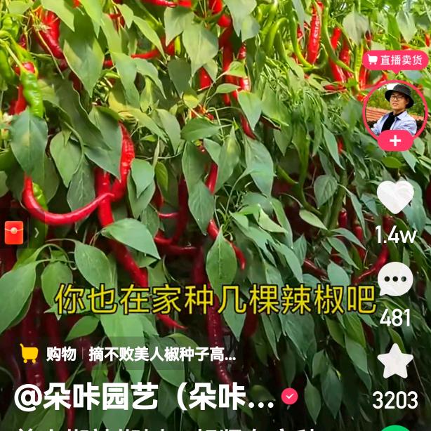 A匆匆过客