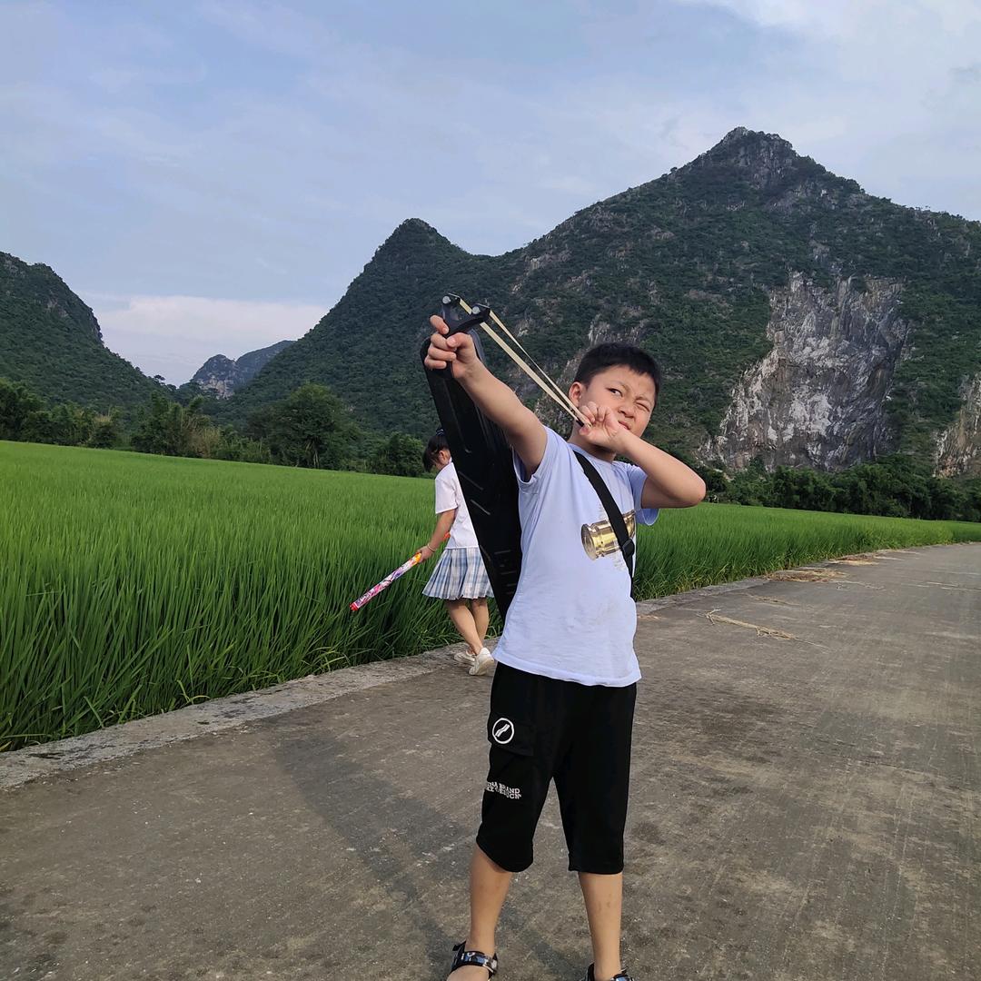 杨琴