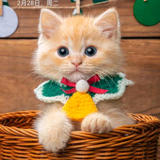小鱼🐟儿