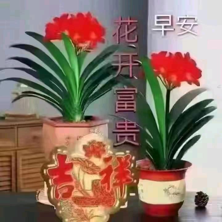 丿