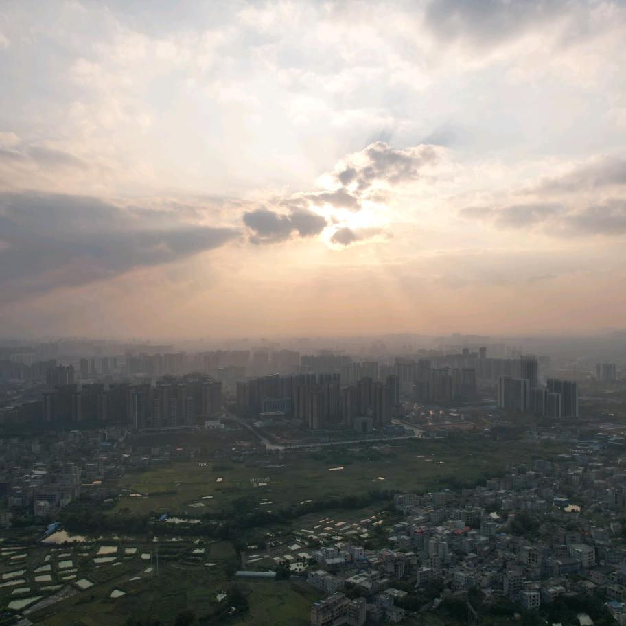 不会飞2s的小梁