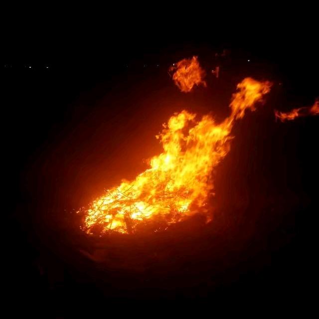 ぺ爺ぃ不離不棄好麼