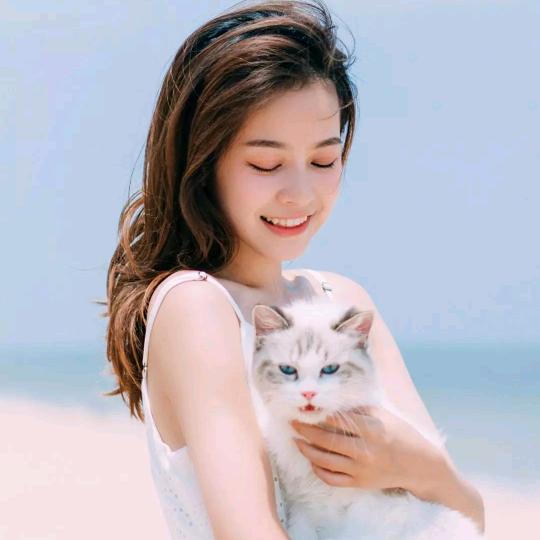 🌹风来了一阵子💞