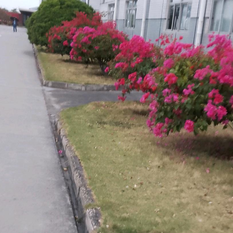 用户628430479073
