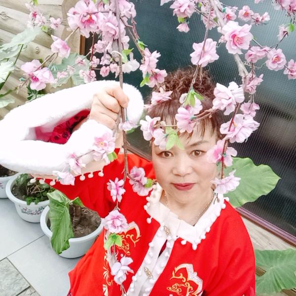 森林！