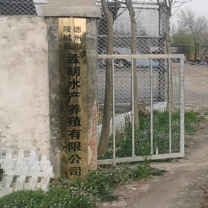 梅镇孟凡刚