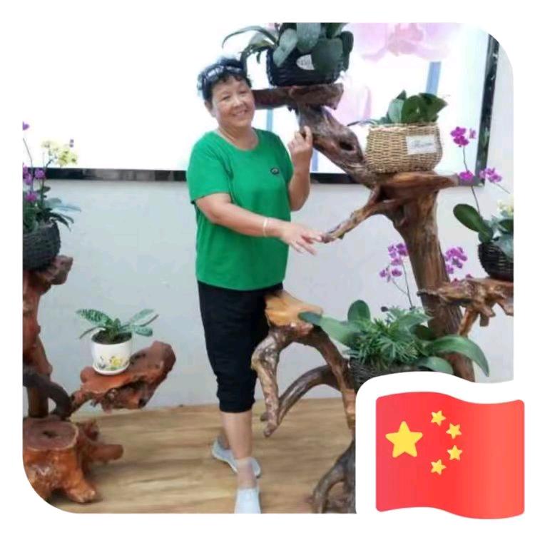周小宝姥姥