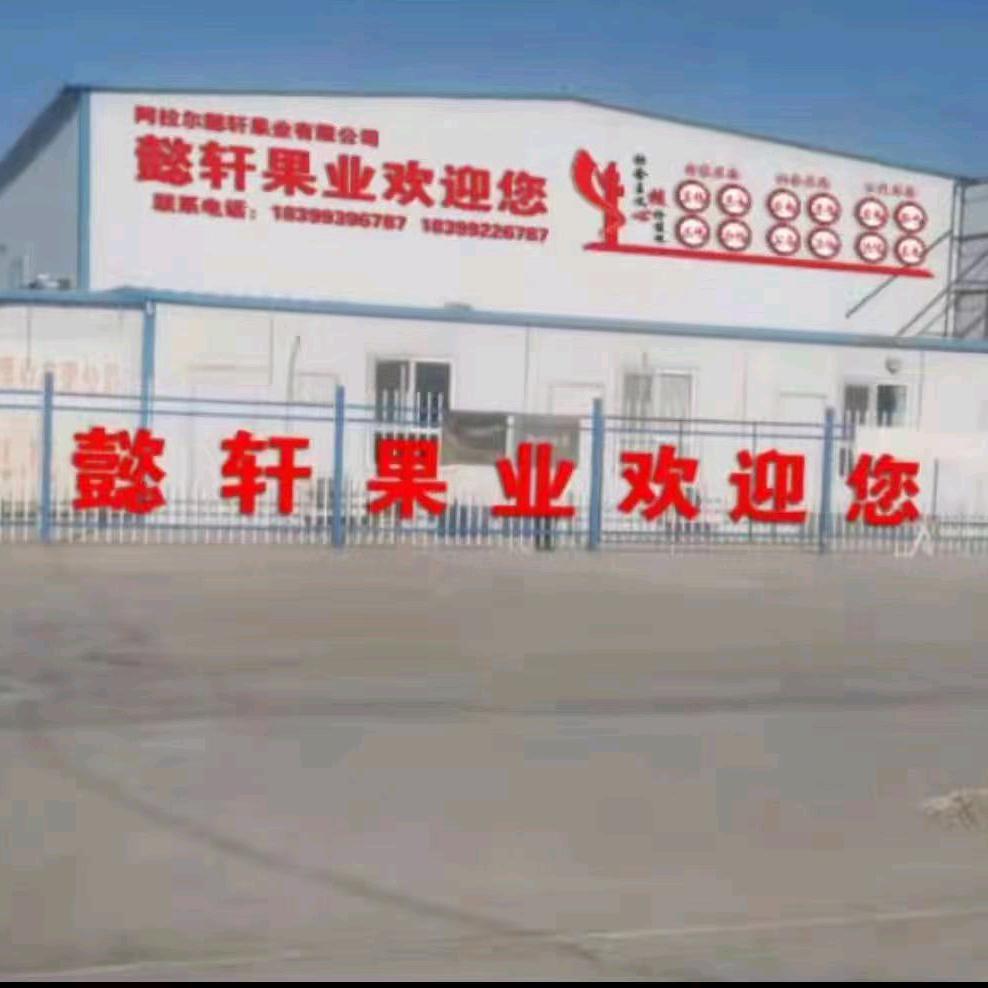 新疆懿轩果业供应链公司