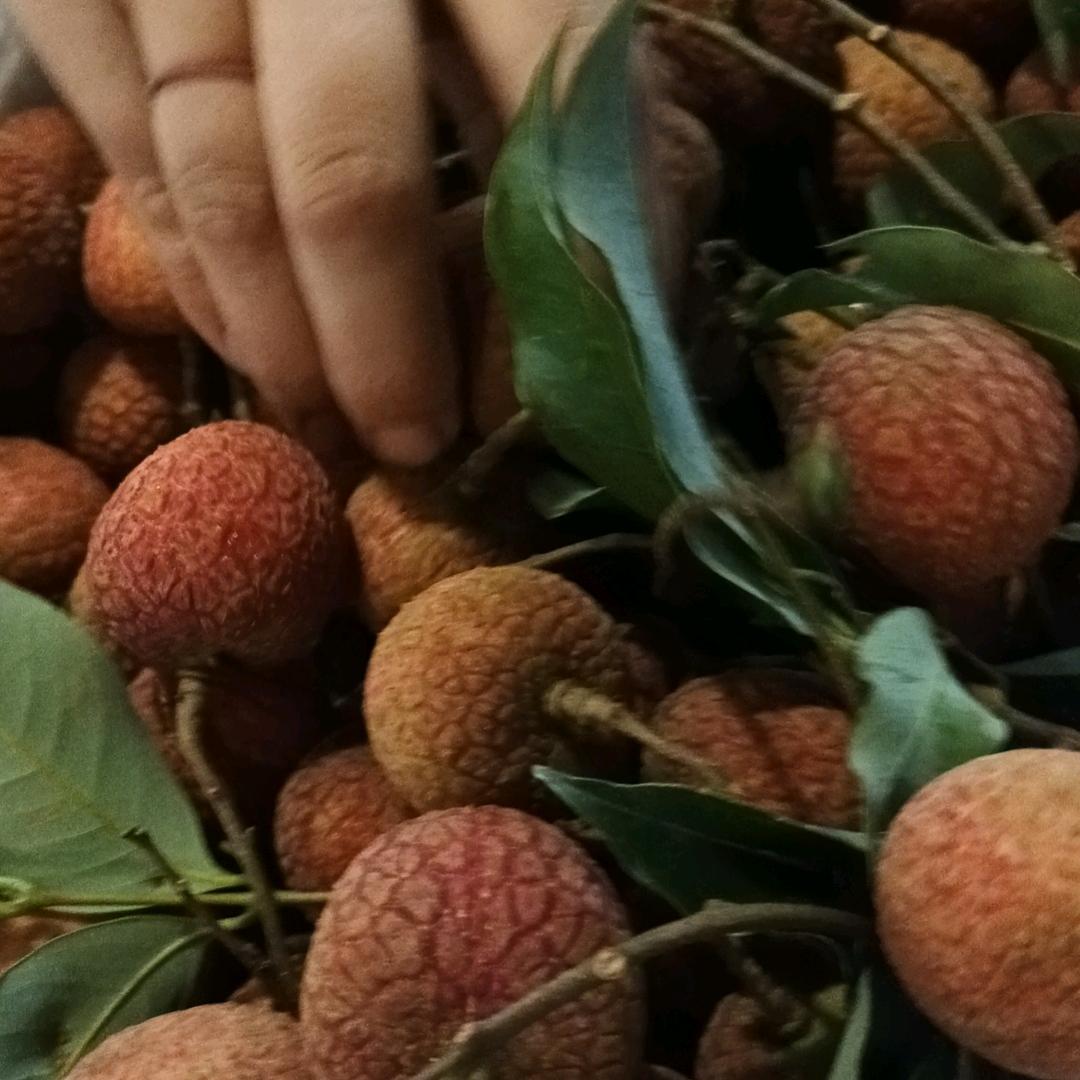 朋友圈烧烤店