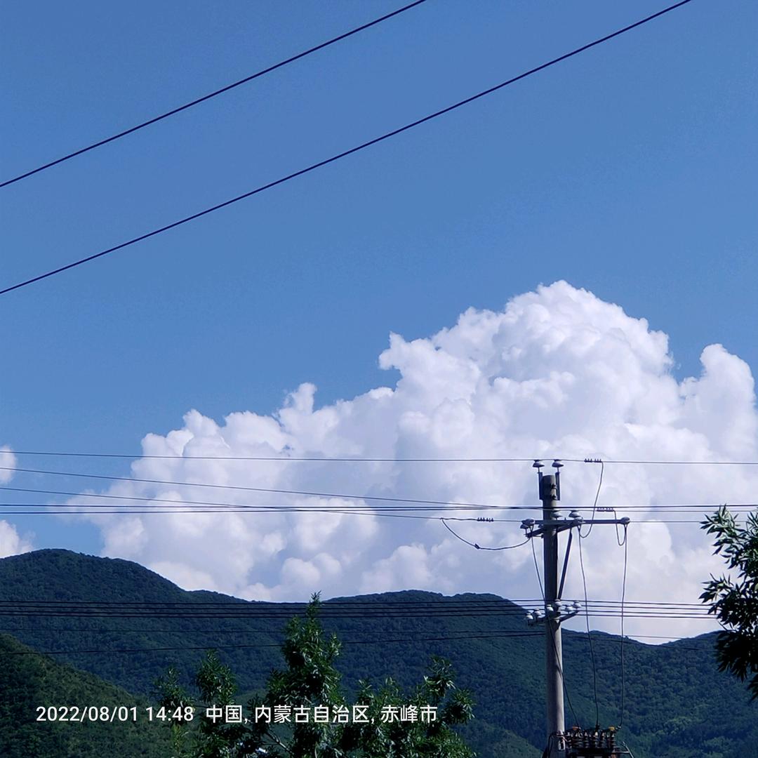 ໑ຼ₀₂⒋💕刘连忘樊꧔ꦿ᭄💞