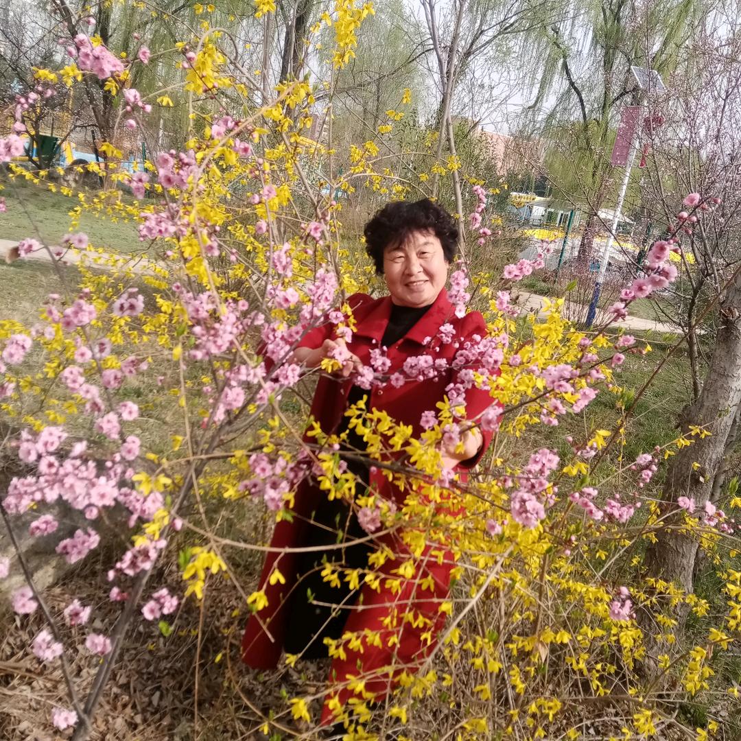桐桐奶奶