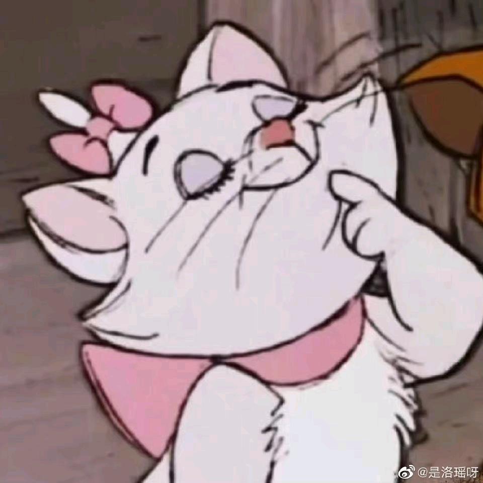 猫咪咪喵੭ﾞ