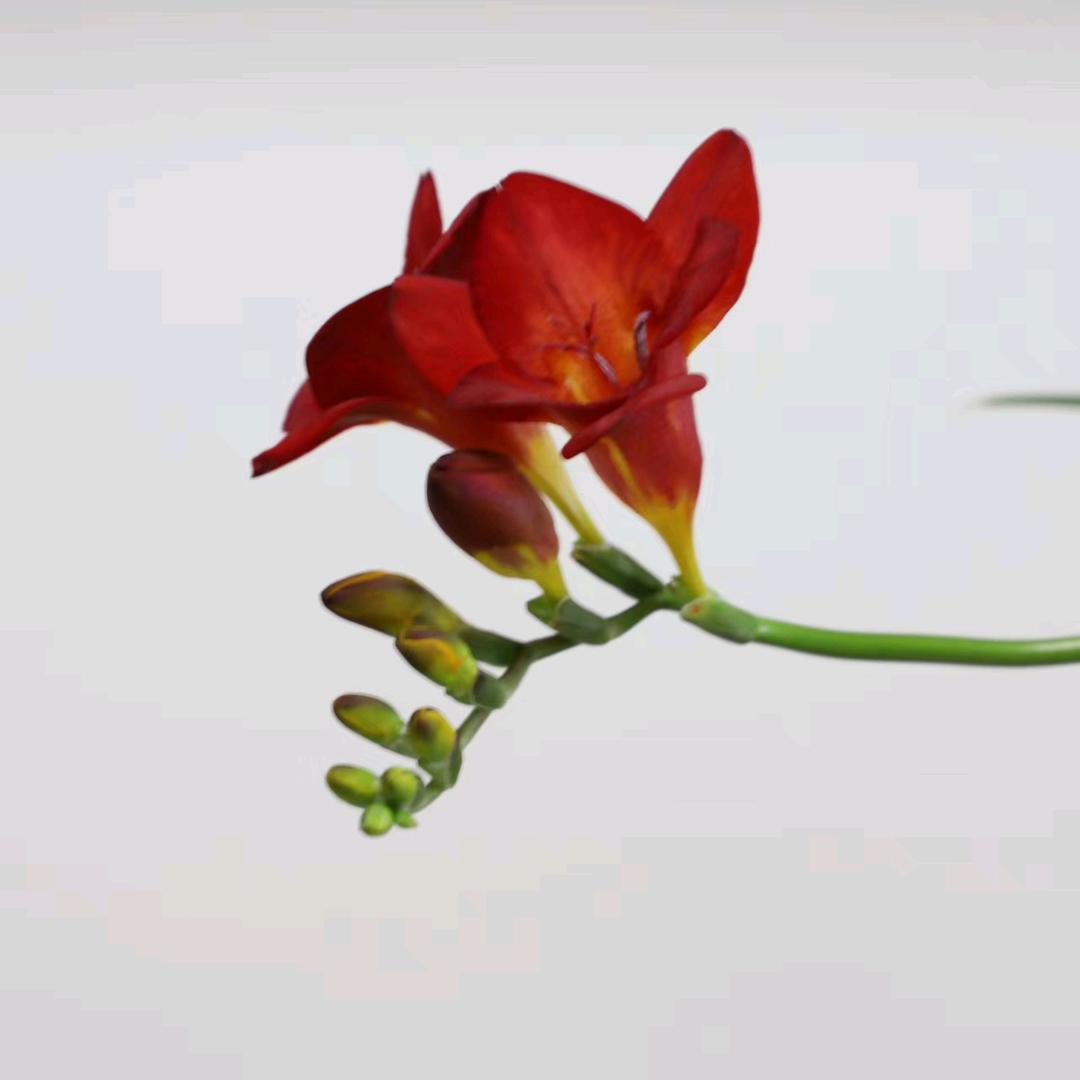 发现