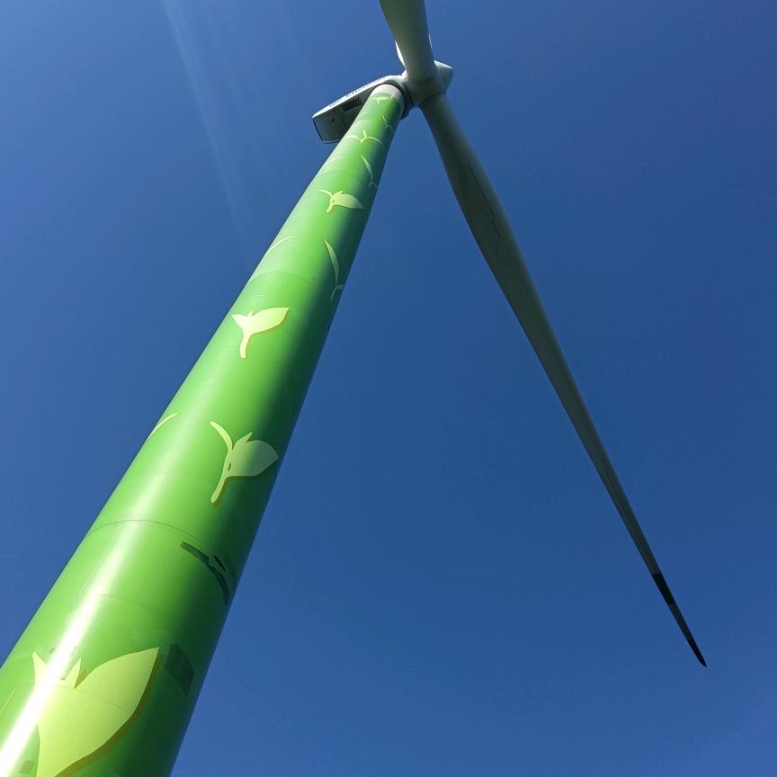 好♈️运(*•̀ᴗ•́*)