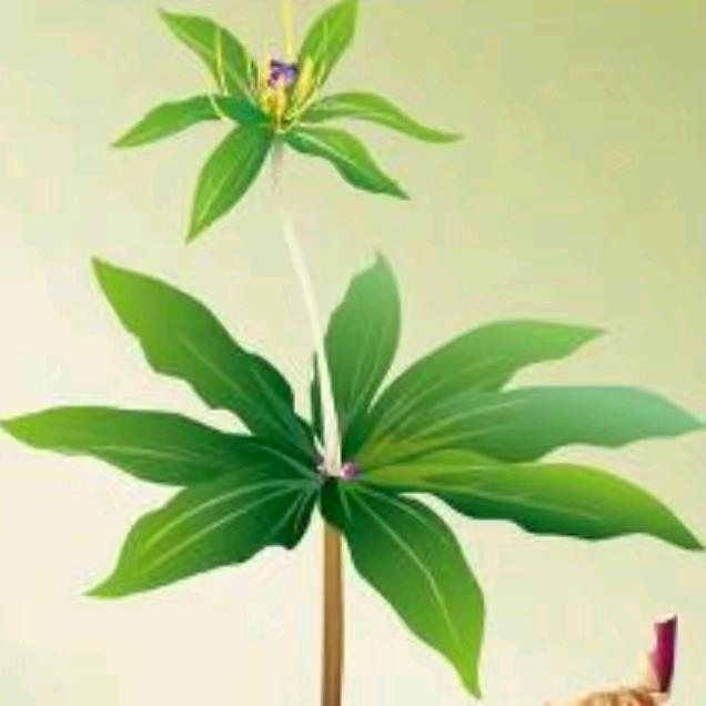 🐭心语心愿🐭