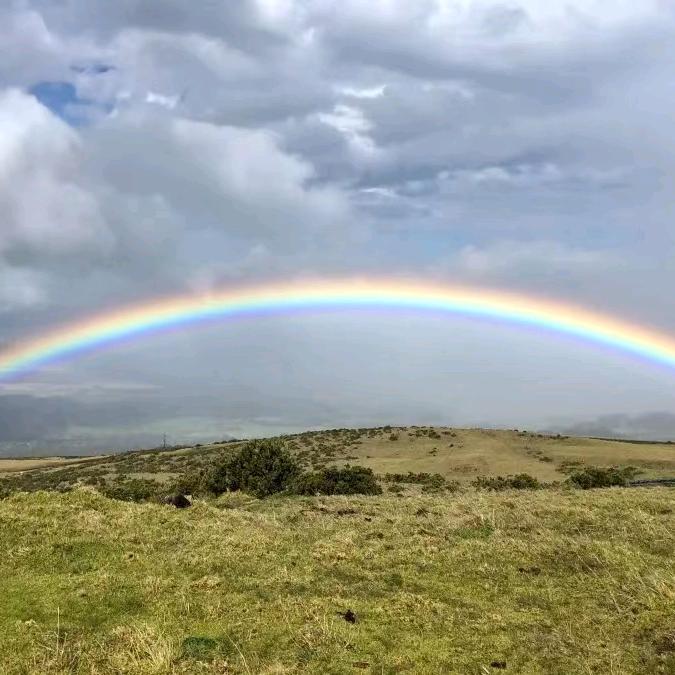 小何才露尖尖角