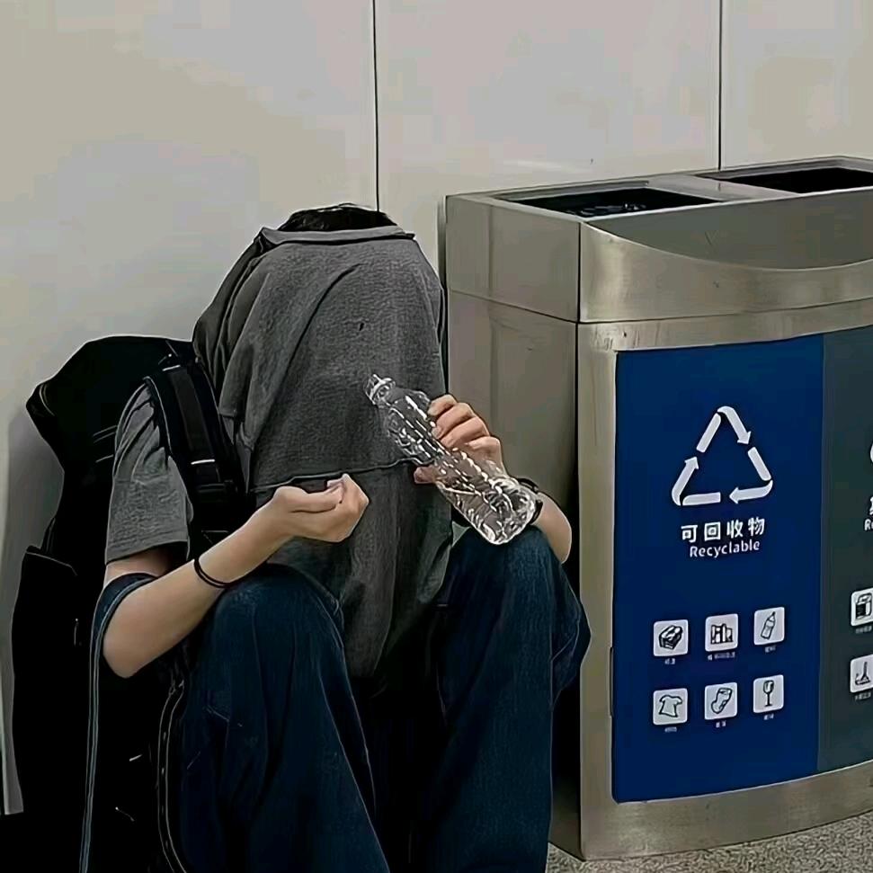 芝不士雪豹