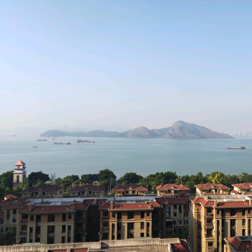 每天的小木子