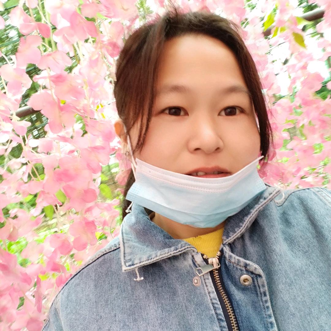 莺飞燕舞