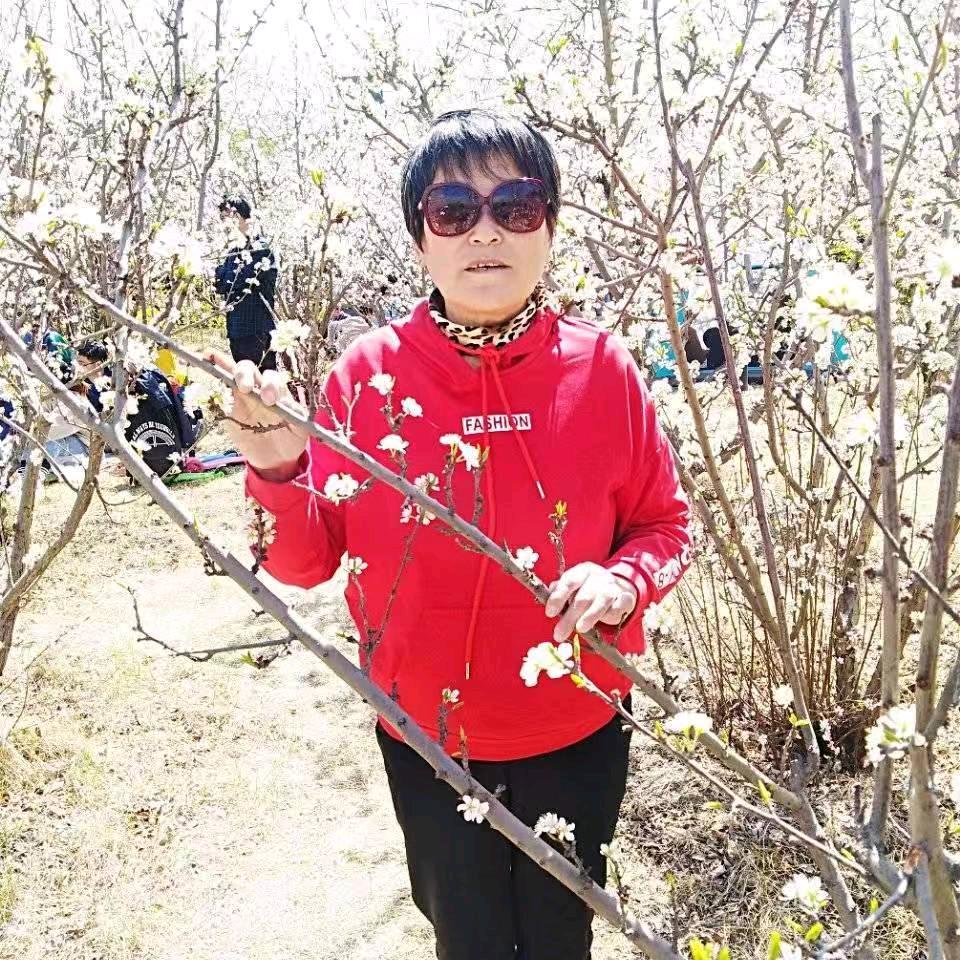 壮壮奶奶的日常生活