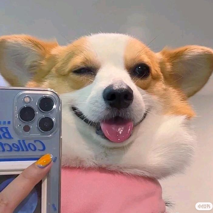 茬不多