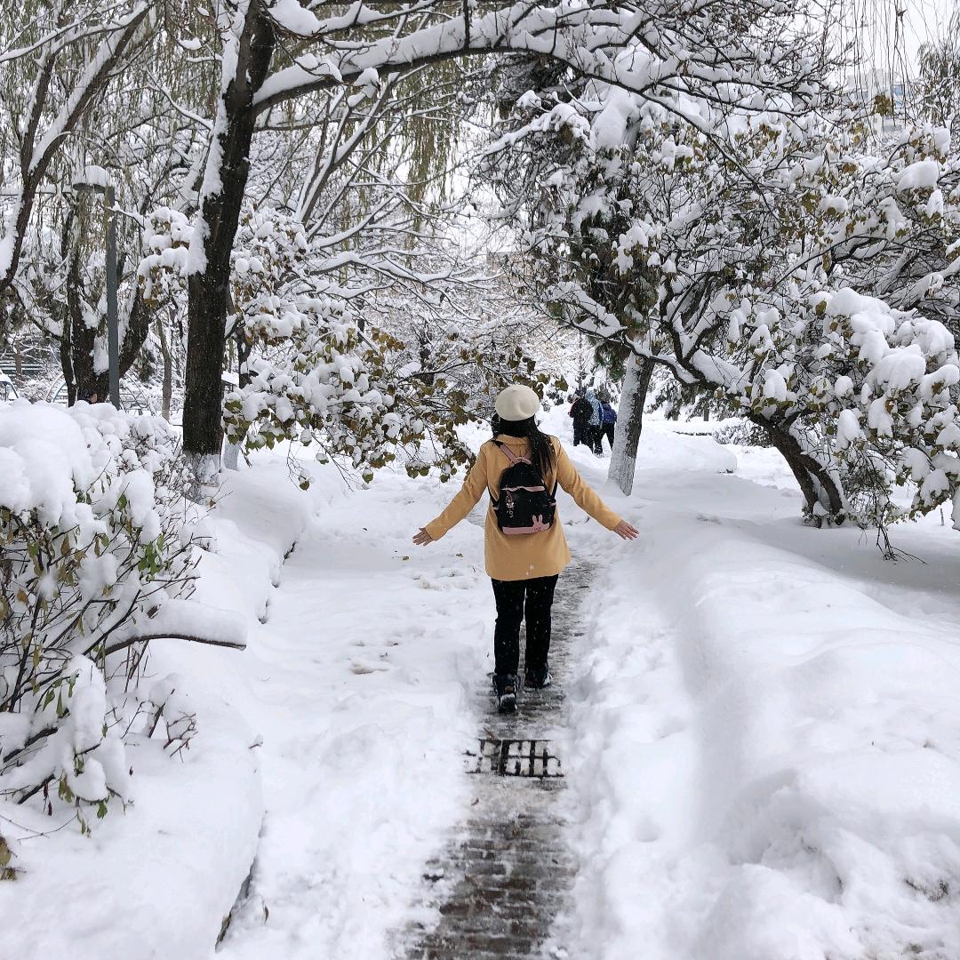 沈阳导游恒心——讲历史聊旅游