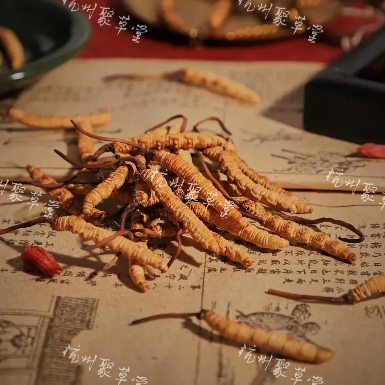 聚草堂参茸批发临浦镇苎萝路173号