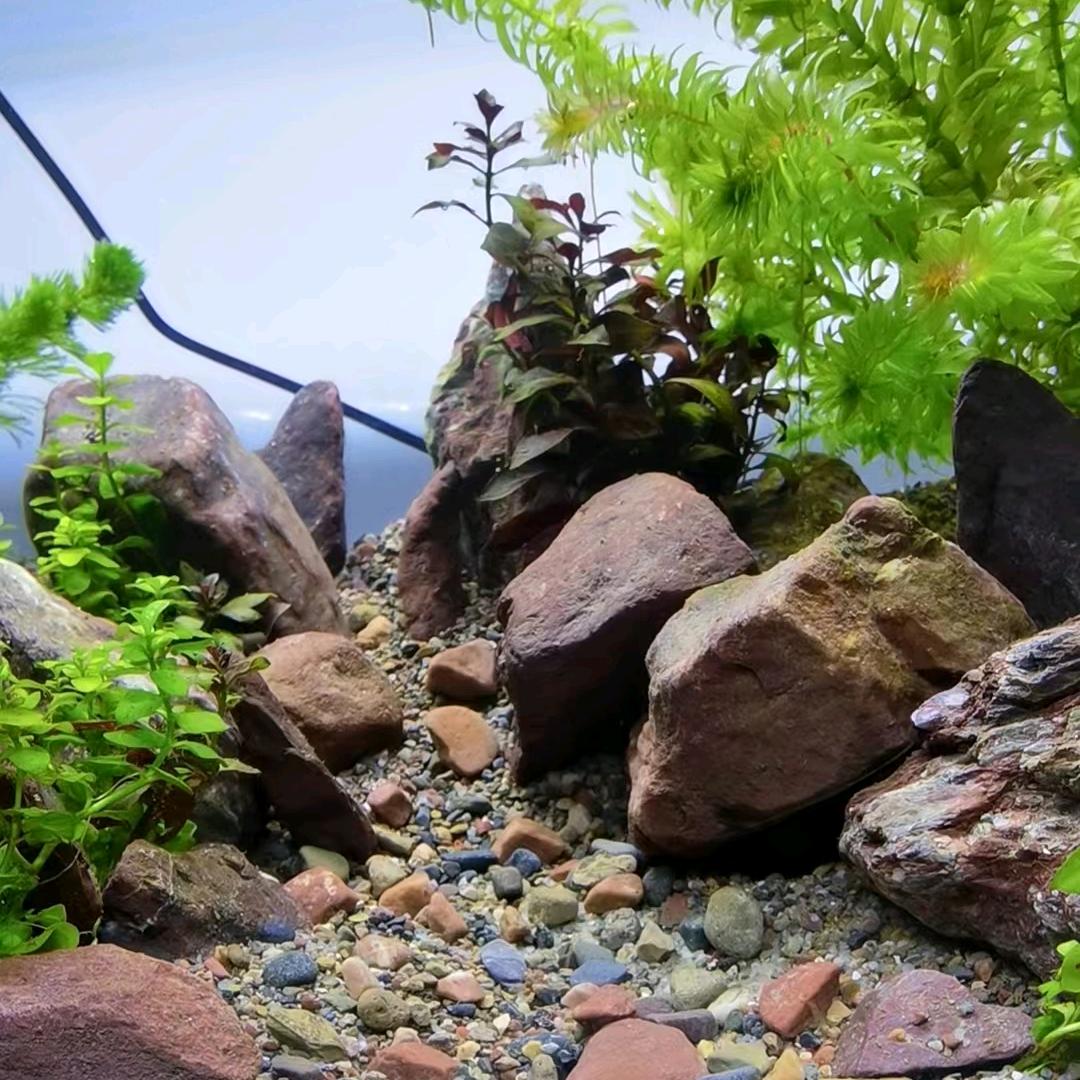 渔悦水族店