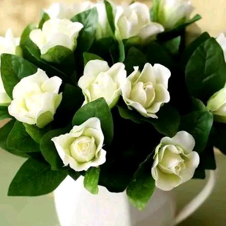 感恩❤小贝美🌻