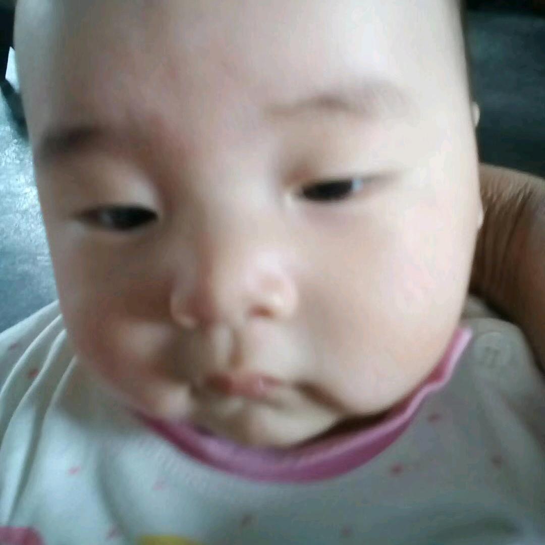 梦鸽