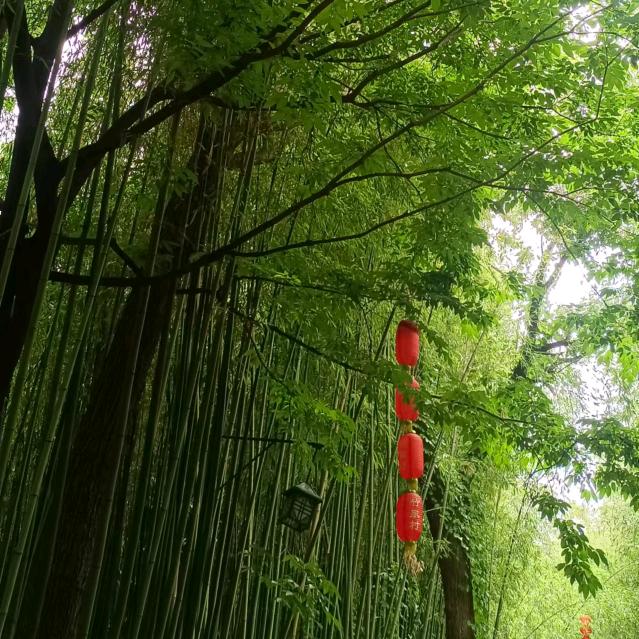 用户名66105570头像