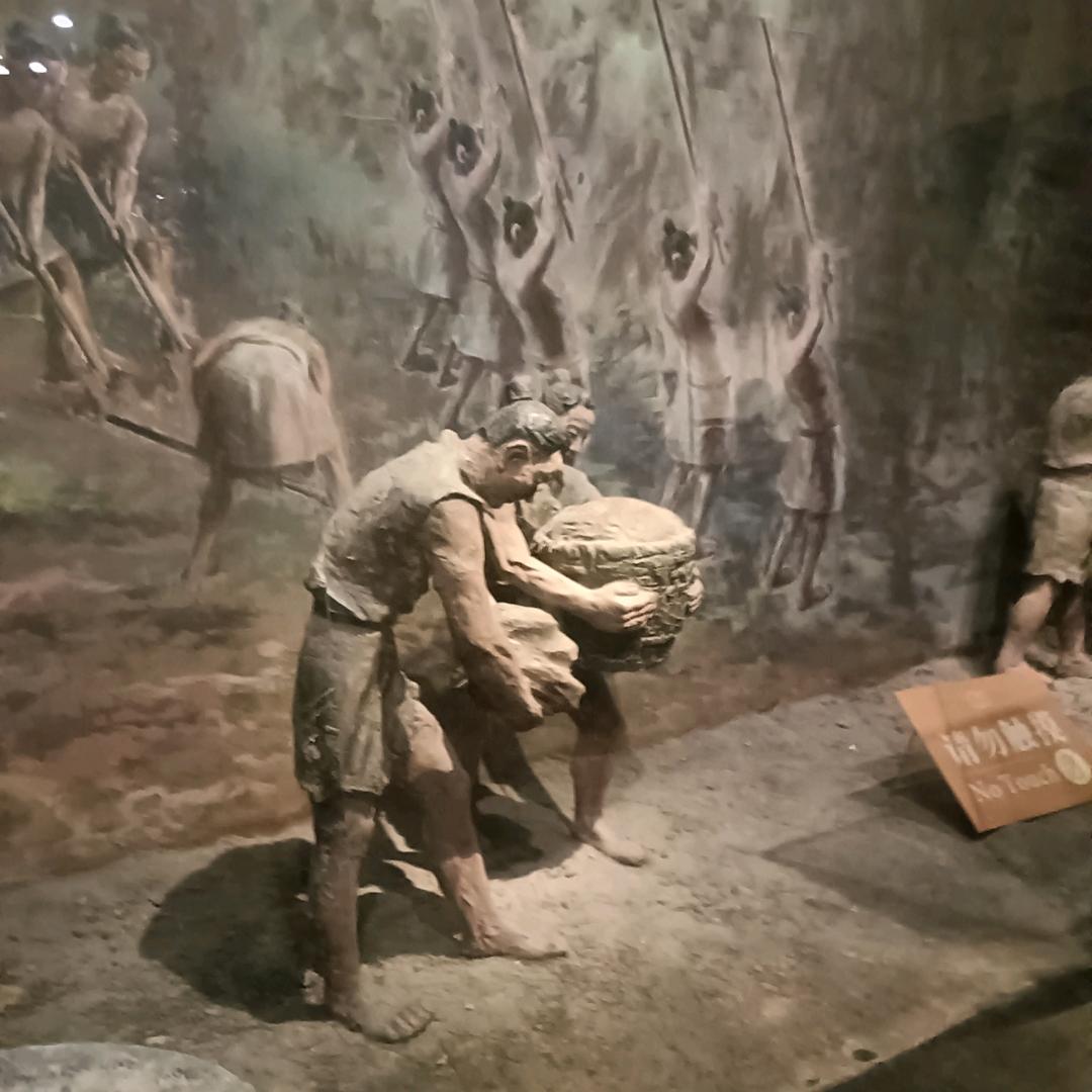 顺其自然丨