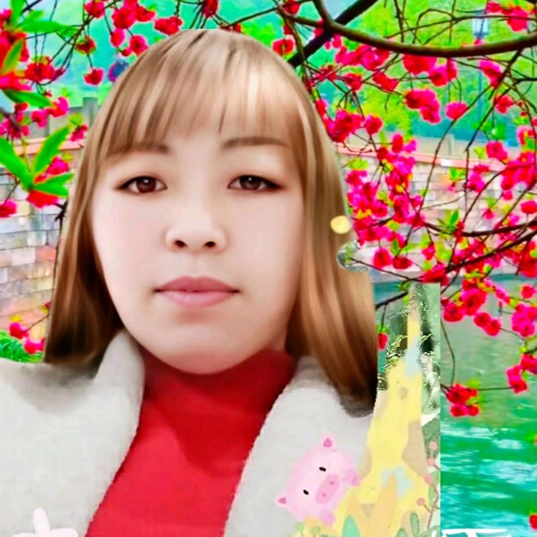 康乃馨批发零售