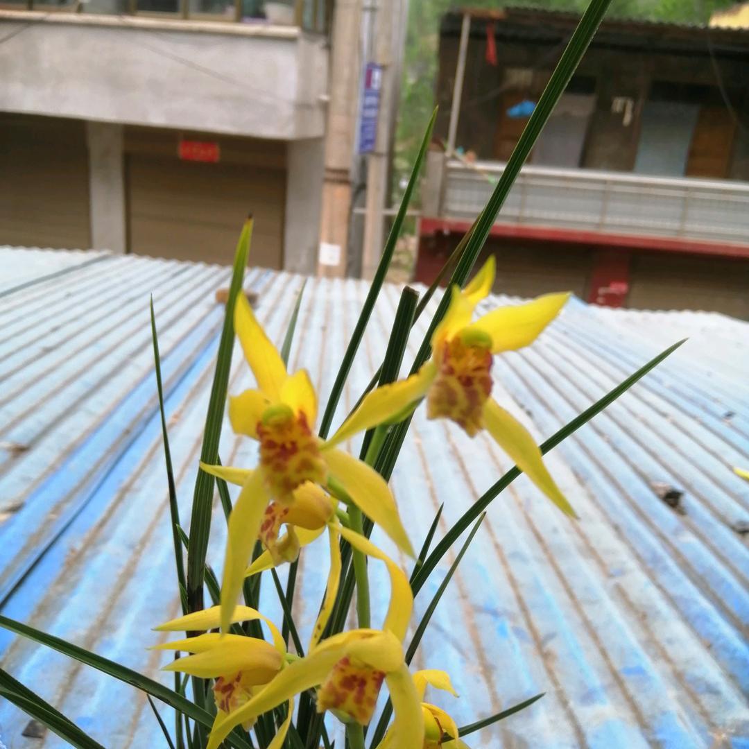 万里长征