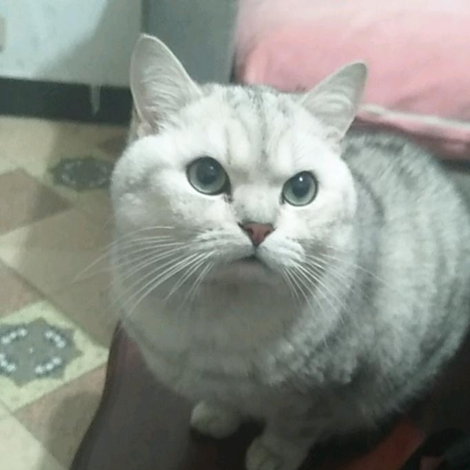 暖宝宝(づ￣ ³￣)づ