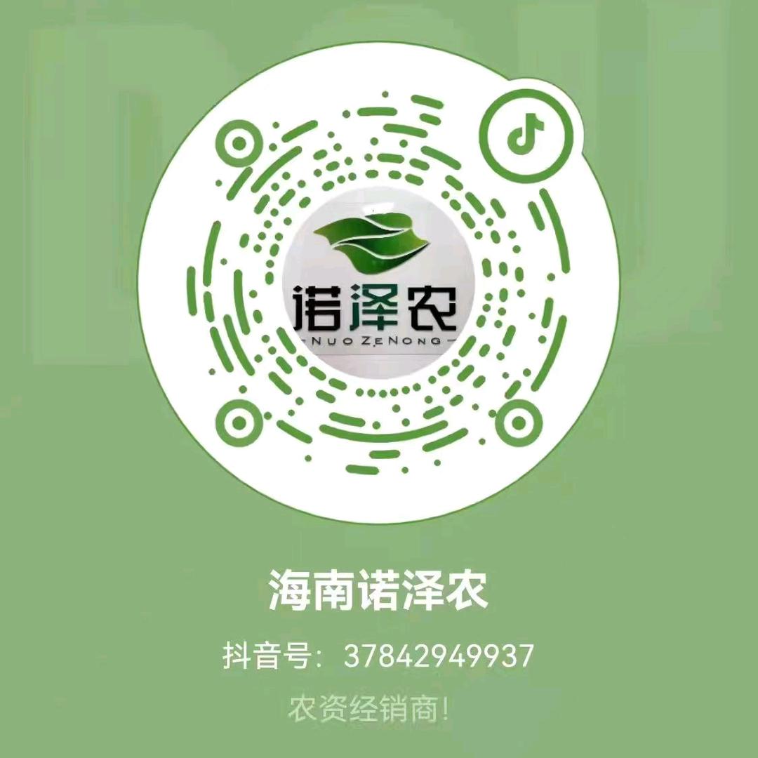 海南诺泽农