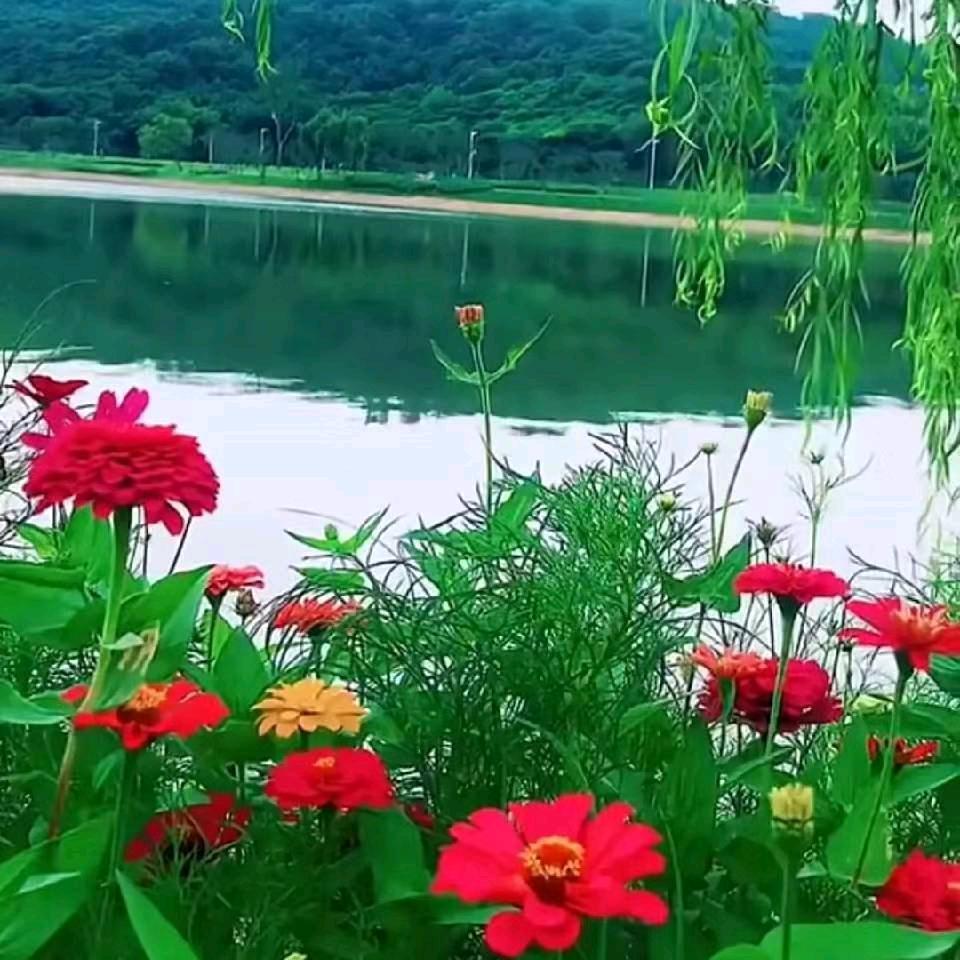 陪你寻找幸福