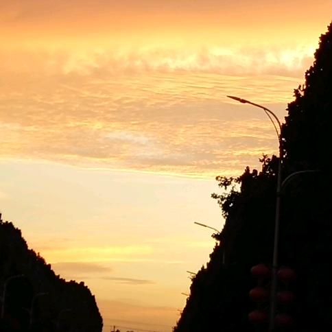 小葱拌豆腐，一清二白。