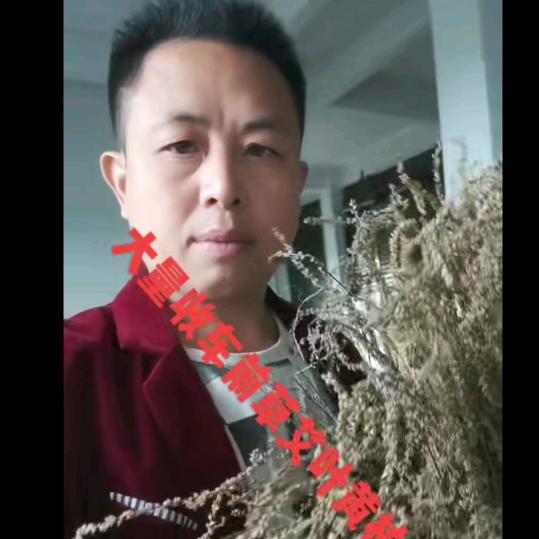 无法忘记的痛。