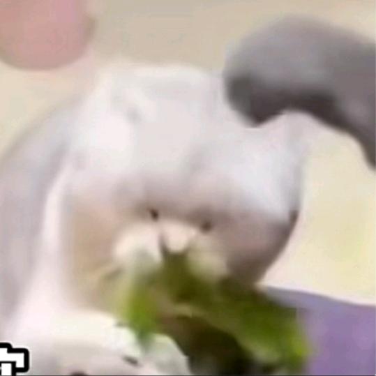 是风远阿