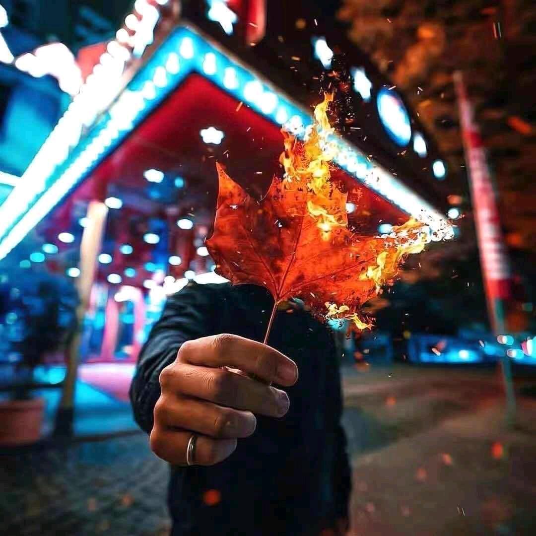 你的发小猪佩奇