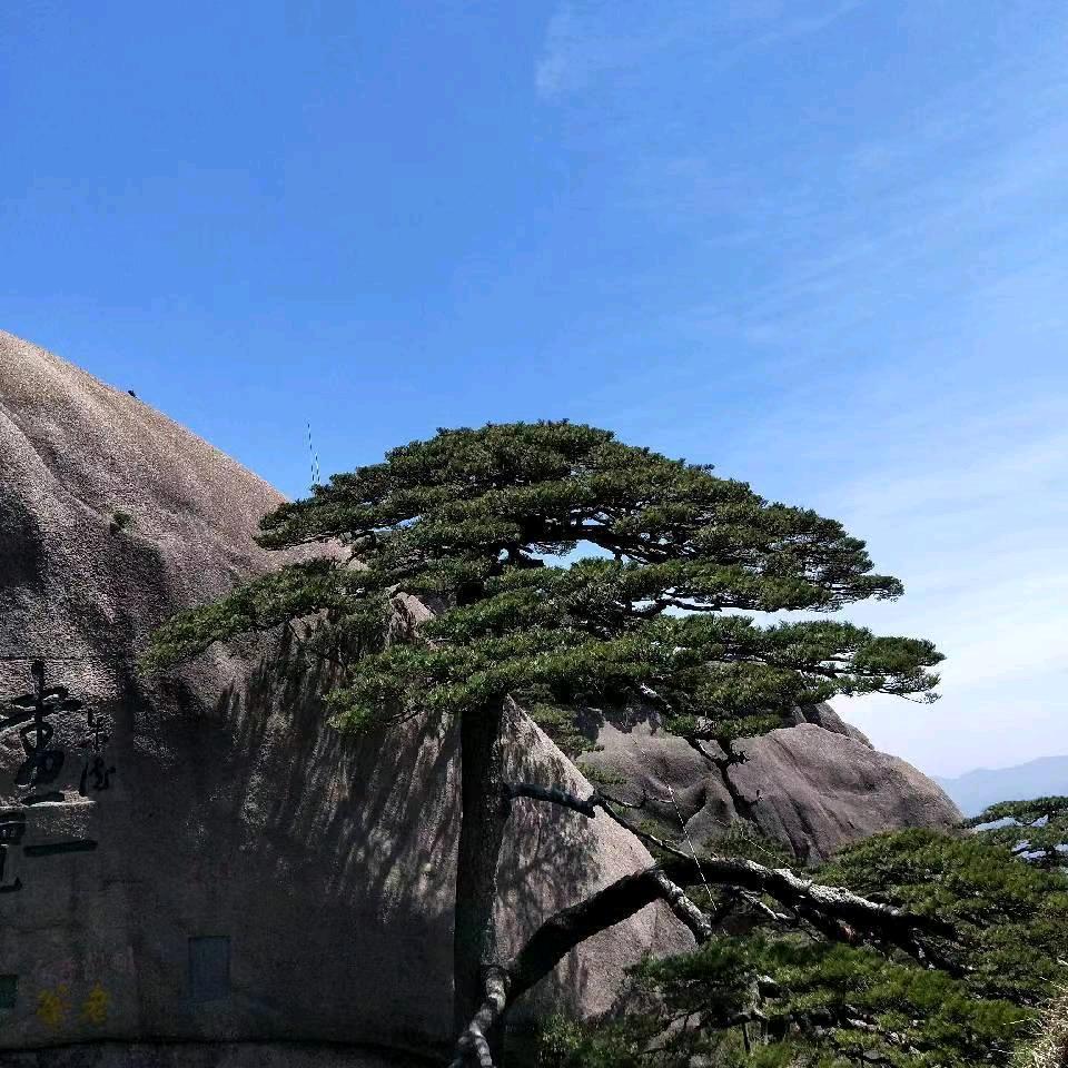 坚强大哥
